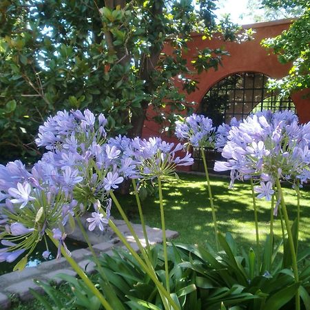 Finca Adalgisa Chacras de Coria Zewnętrze zdjęcie