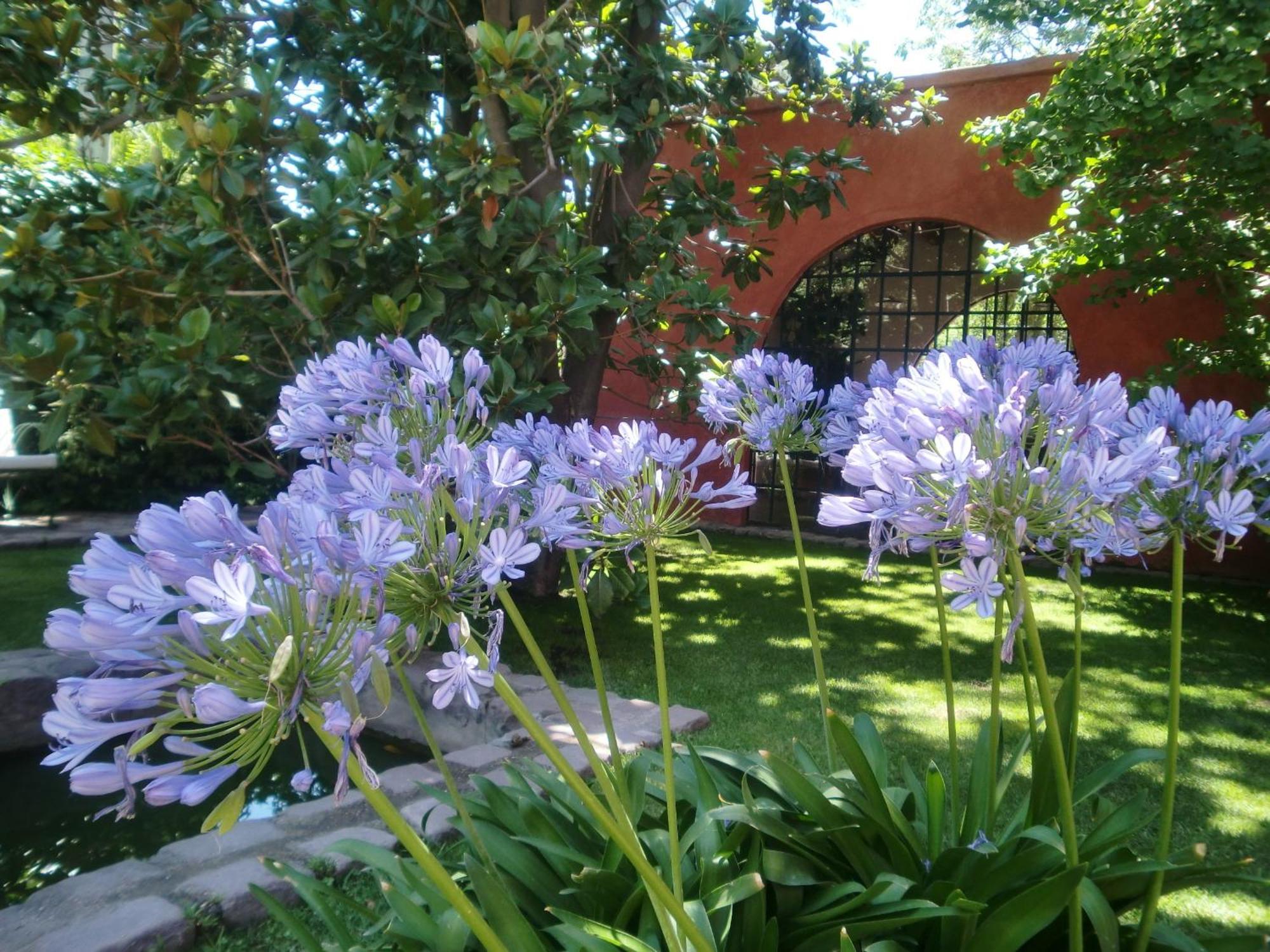 Finca Adalgisa Chacras de Coria Zewnętrze zdjęcie